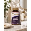 Multi Collagen Capsules, Type I, II, III, V & X,