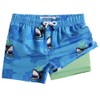 maamgic Boys Swim Trunks with Compression Liner Toddler Boy Swimsuit