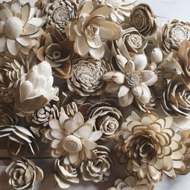 Oh You're Lovely Sola Wood Flower Bark Assortment