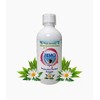 PLANET AYURVEDA FEMO Plan Syrup 200ml