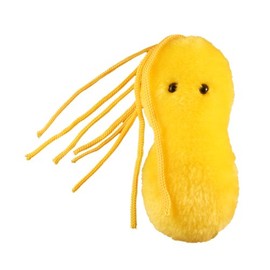 GIANTmicrobes Ulcer Plush – Learn About Bacteria and Gut Health with This Educational Gift for Family, Friends, Patients, Nurses, Doctors, and Anyone with a Healthy Sense of Humor