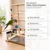 Bird Playground Natural Wood Parrot Stand with Ladder Swing Food