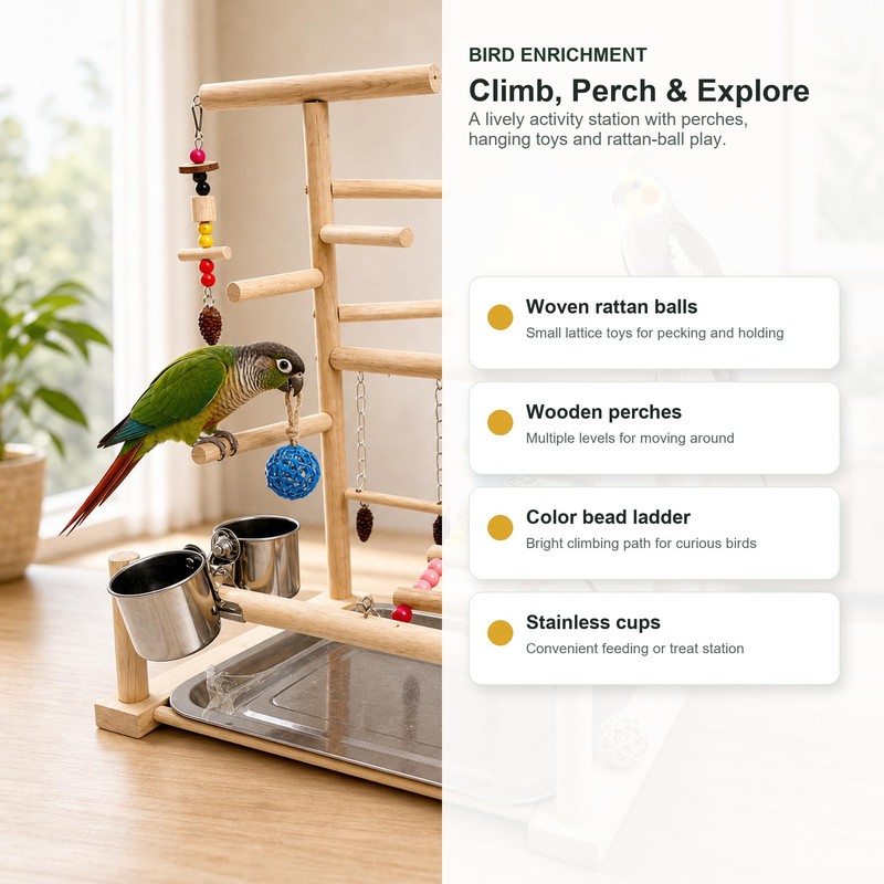 Bird Playground Natural Wood Parrot Stand with Ladder Swing Food