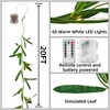 KAiSnova 20FT 60LED Vine with Fairy Lights Battery Operated, Warm