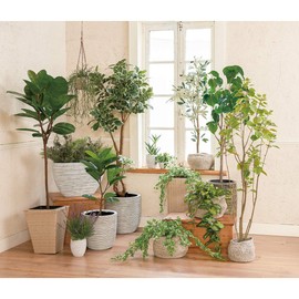 Tokyodo Artificial Flower, Green, Width 13.8 x Height 8.7 inches (35 x 22 cm), Pot Diameter Approx. 3.9 inches (10 cm), Height Approx. 3.3 inches (8.5 cm), MAGIQ Brand Marble Pot Spot FG009015-zzz