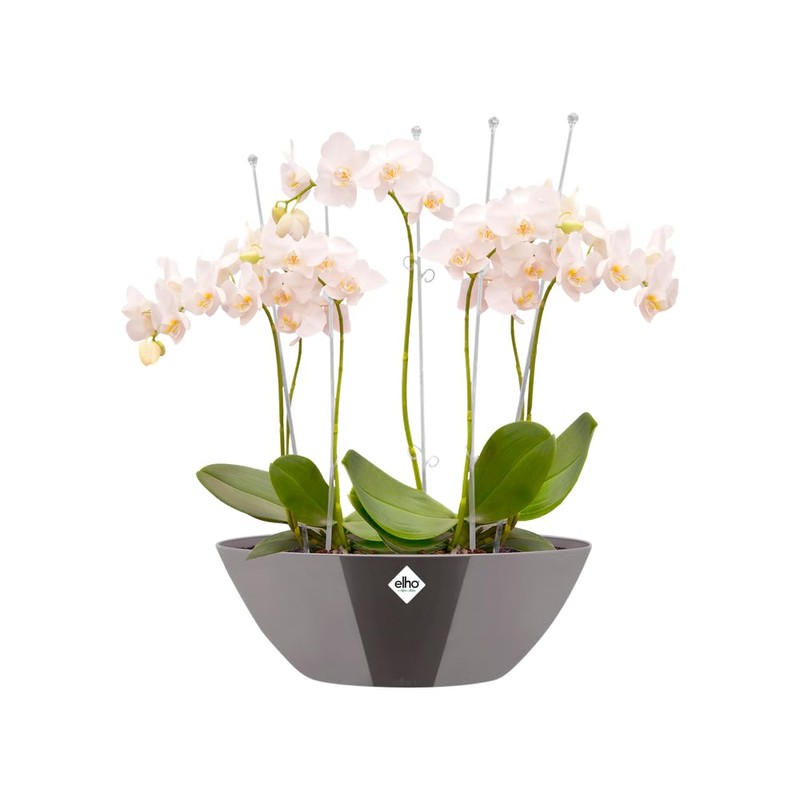 elho Brussels Diamond Oval 36 - Flower Pot for Indoor