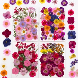 Natural Dried Pressed Flower Kit for DIY Crafts – Assorted Real Flowers & Leaves with Tweezers for Resin Art, Scrapbooking, Jewelry Making, Nail Art, and Home Décor