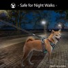 PoyPet No Pull Dog Harness with Neck Release Buckle, Reflective