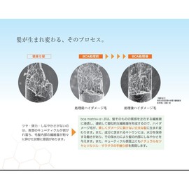 bi-si-e- Matrix Bonus GSM BCA