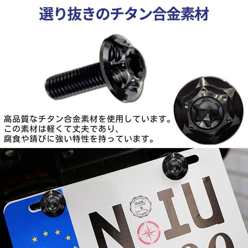 HiLiBoom License Plate Bolt M6 Anti-theft Screw Titanium Alloy Snowflake