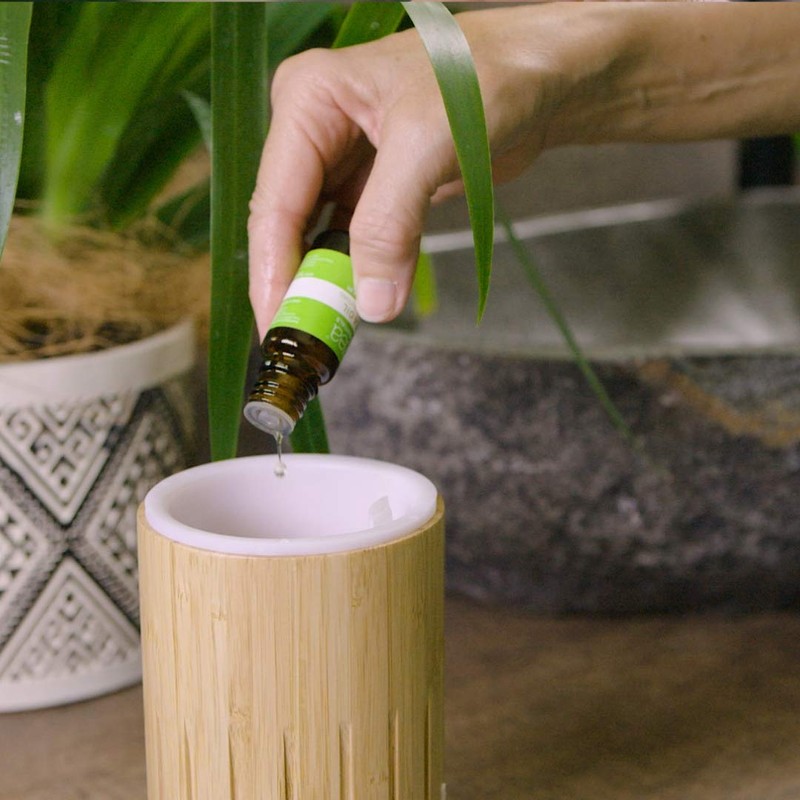 Kunzea Oil (Kunzea ambigua) - 100% Pure Essential Oil [Therapeutic