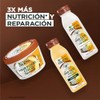 Kit Garnier Fructis HairFood Coco Rutina para cabello dañado