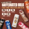 Spylt - High Protein, Caffeinated Chocolate Milk, Workout Recovery &