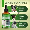 Salutempet Dog Antibiotics for Infection, Cough, & UTI | Herbal,