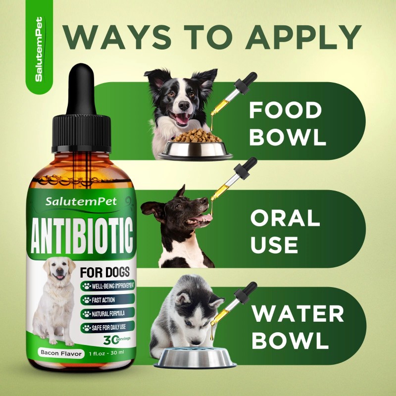 Salutempet Dog Antibiotics for Infection, Cough, & UTI | Herbal,
