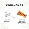 Ceylon Cinnamon 2000mg Vegavero® | High Strength Extract (8:1) |