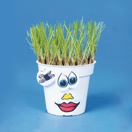 Grassy Gertie Craft Kit (Pack of 50)