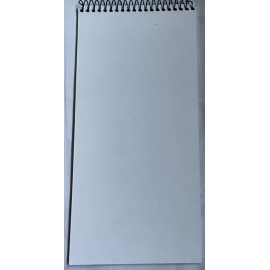 Vintage Team Kool Green Indycar/CART Notepad NEW