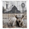JONSEQIN Highland Cow Shower Curtain, 70x70 inch,Polyester Fabric