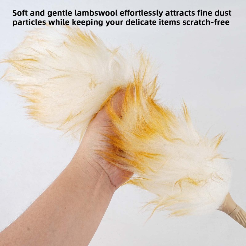 Feather Duster Extendable Handle，53In Telescopic Duster with 1 Ostrich Feather