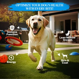 Healthy Dogma - PetMix Dehydrated Dog Food – Fish Dinner with Wild-Caught Alaskan Salmon & Whitefish – Gluten-Free, Skin & Coat Support, Clean Ingredient Dog Food – No Preservatives, (2 lbs)