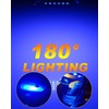 Qasim 44mm(1.73") LED Loop Bulb Bright Blue,No-Polarity 12V 211-2 212-2