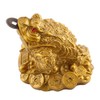 Feng Shui Money Frog, Lucky Money Toad Decorations,Ideal for Attracting