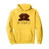 Funny Chocolate Labrador Dog Owner Pullover Hoodie
