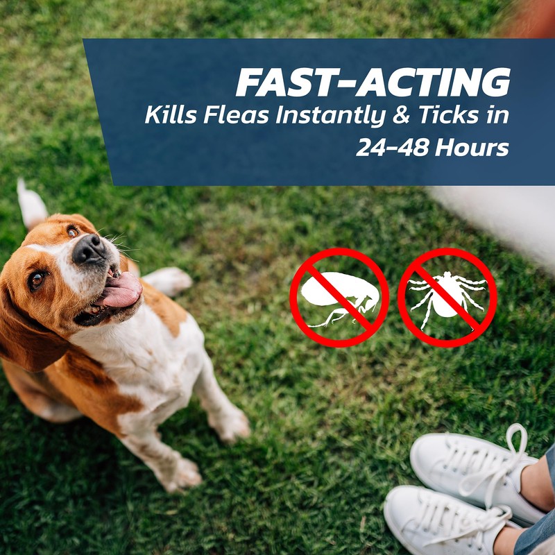 Naqua Ltd Dog Flea Treatment Small Dog x 3 -