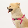PUPTECK No Pull Dog Harness Adjustable Basic Nylon Step in