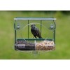 Meripac PIGEON-PROOF Window Feeder with Suet Block Holder