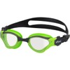View DELFINA V2000 CGR Swimming Goggles, Made in Japan, Outdoor