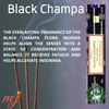 Original Satya Nag Champa Black Champa Incense Sticks | with