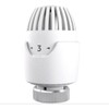 Drayton RT212 TRV Chrome Sensing Head