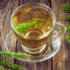 Horsetail Infusion (500g, 1.1lb), Horsetail Tea, Cut Field Horsetail, Gently