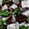 Chocolate Filled Mint Hard Candy - 2 lbs of Decadent