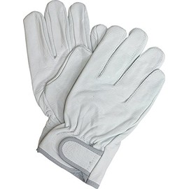 For World Cow Crest Magic with Medium