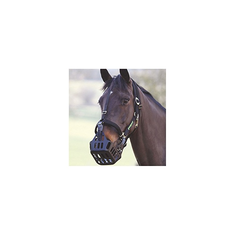 Shires - MJ Ainge and Co Ltd Greenguard Headcollar in