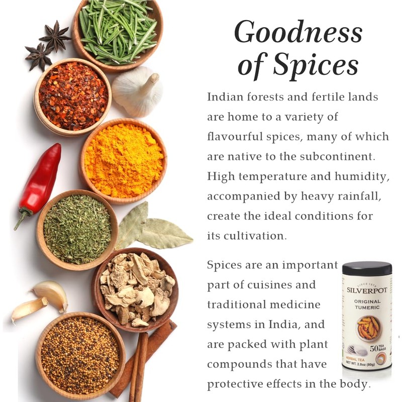 Silverpot Original Turmeric, 50 Round Tea Bags, Tin | Gourmet