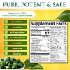 Sunlit Best USDA Organic Premium Chlorella Tablets 1000 Count |