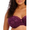 Elomi Women's Plus Size Brianna Underwire Padded Half Cup Bra,