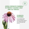 A.Vogel Echinaforce Extra Strength Echinacea Tablets | 1200 mg of