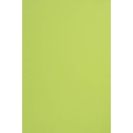 Netuno Sirio Colour Lime Coloured Coloured Coloured Craft Paper 100 Sheets DIN A4 210 x 297 mm 115 g Coloured Craft Paper Printable Colourful Craft Sheet for Invitations Thank You Cards Coloured