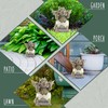 Esterno Baby Dragon Garden Statue (9-Inch); Hatching Dragon Yard Decor