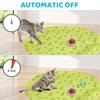 Jieffifa Interactive Cat Toys, Fast Rolling Ball in Play Mat,