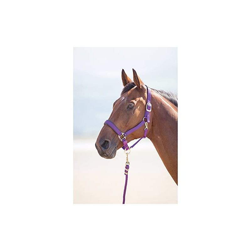 Shires Topaz Nylon Pony/Horse Headcollar - Purple Full