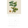 Fruits 2025 ¿ Brochure Calendar ¿ with Historical Pictures of