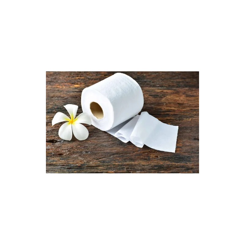 Papel Higiénico Premier Doble Hoja 6 Rollos