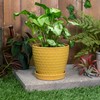Napco Honeycomb Embossed Ceramic Pot for Indoor Plants Planter with