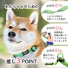 Traveling Legumes Shiba Dog Collar Pet Supplies Soft Adjustable TabisuruMameshiba